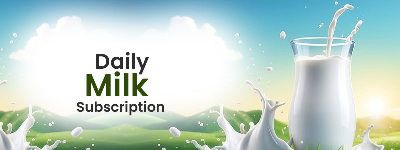 Promo Banner