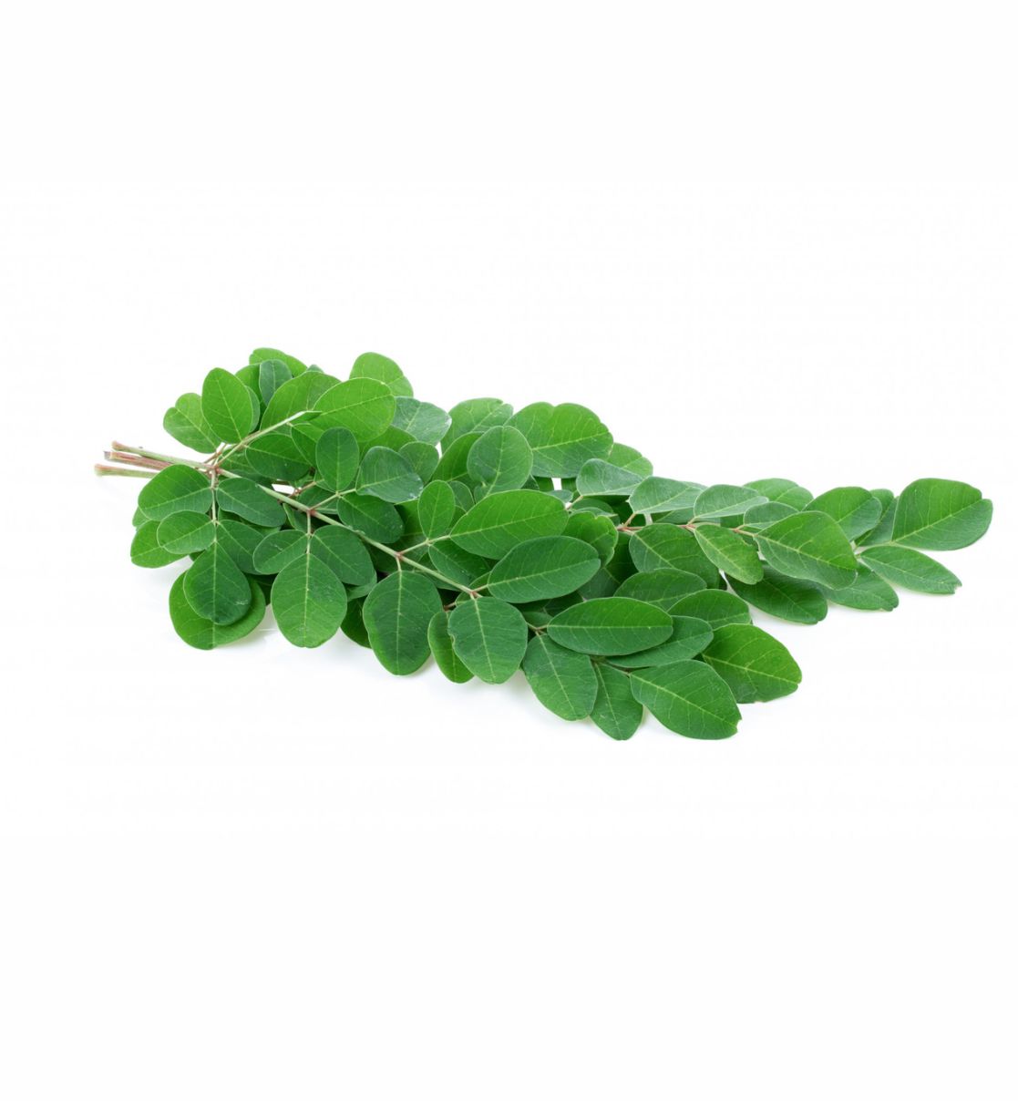 Drumstick leaves(Munga Saag)