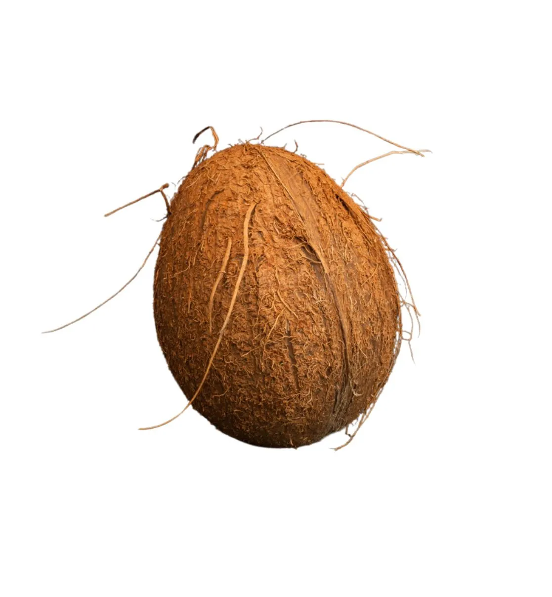 Coconut (Nadia)