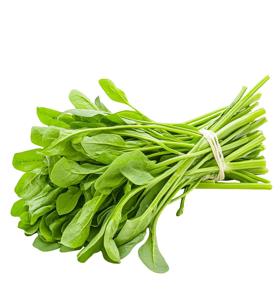 Spinach (Palak)